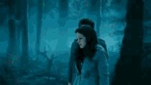 Twilight (1)