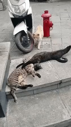 Испортил романтик