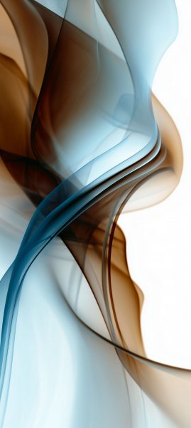 adapted 1080x2408 1770282730