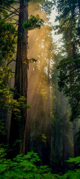 IMG 20260226 155032 036