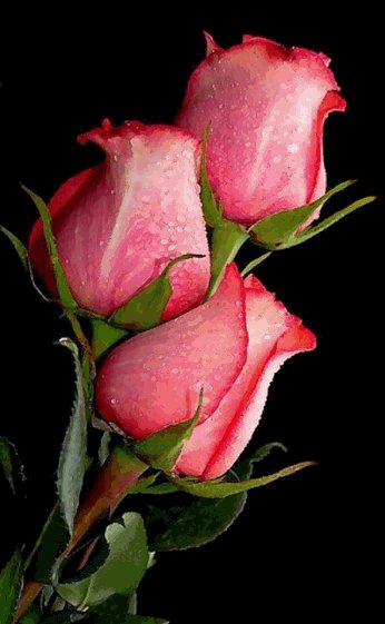 file_73375231
