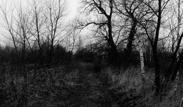 Декабрьский вечер