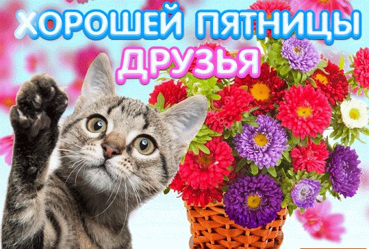 file_75889266