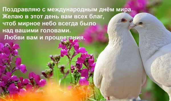 Открытка поздравляю с международным