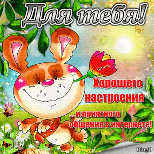 file_84867893
