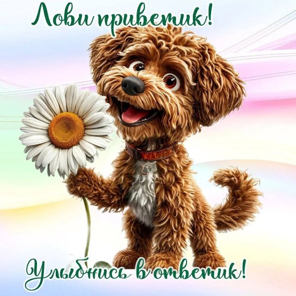 Доброе утро (321)