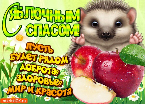 file_94326012