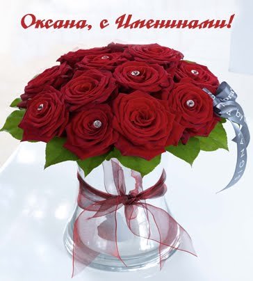 IMG 20190206 993571