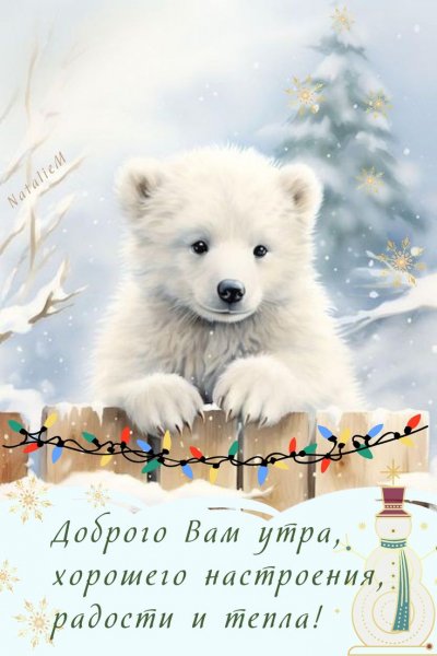 IMG-20260130-WA0003