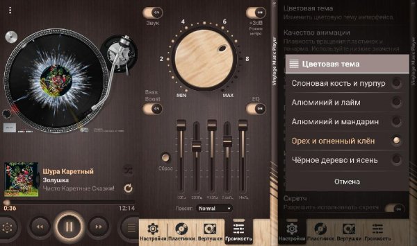 Vinylage Player v1.1.0(3)mod