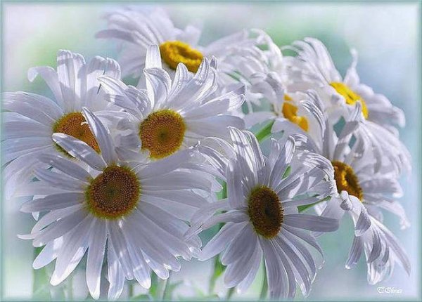 IMG 20151002 154729 1