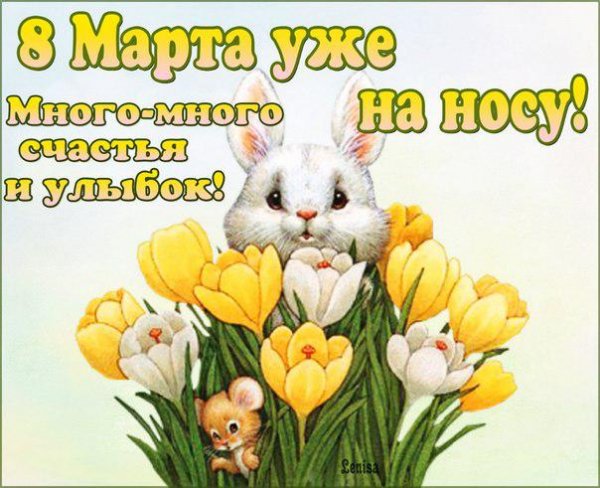 4q99N8IpfKQ