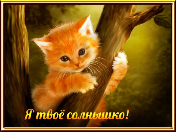file_65084523