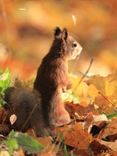 file_53596306