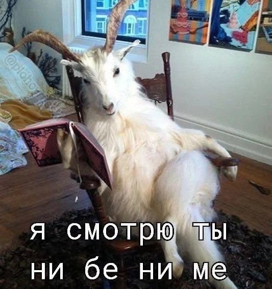 file_103223005