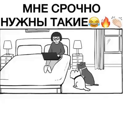 gif 1537769049