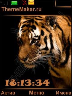 -Tiger-