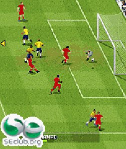 fifa 2010rus