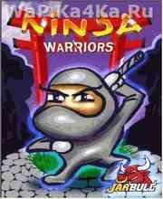 Ninja Warriors