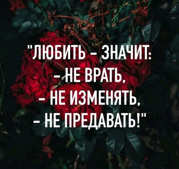 file_95952605