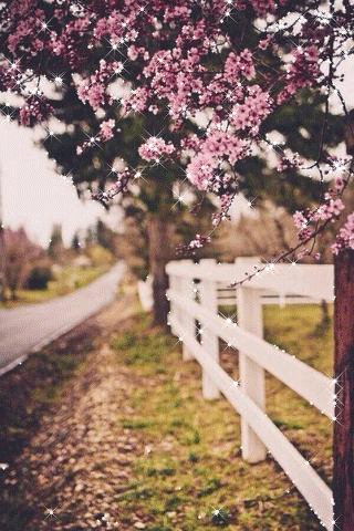 file_62889869