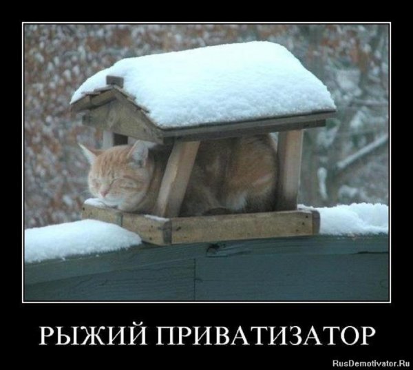 Рыжий приватизатор