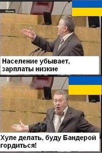 Размышлизм Жирика