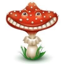 Vishnevskiy - Nesedobnye yadovitye i gal