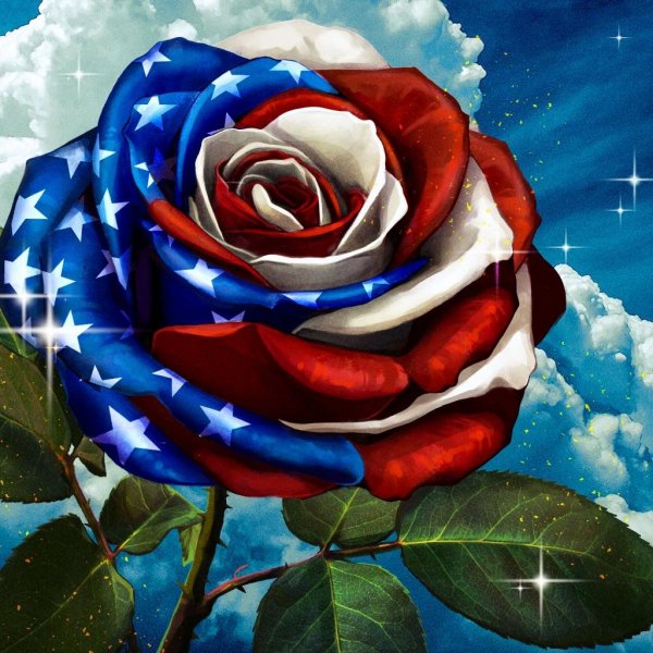 bb0893bc75e00015c6a9d