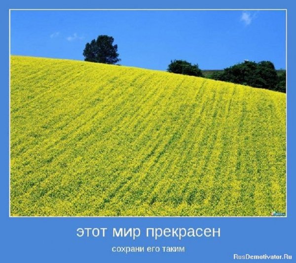 Этот мир прекрасен...