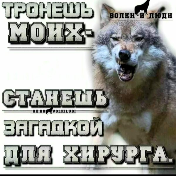 file_99968892