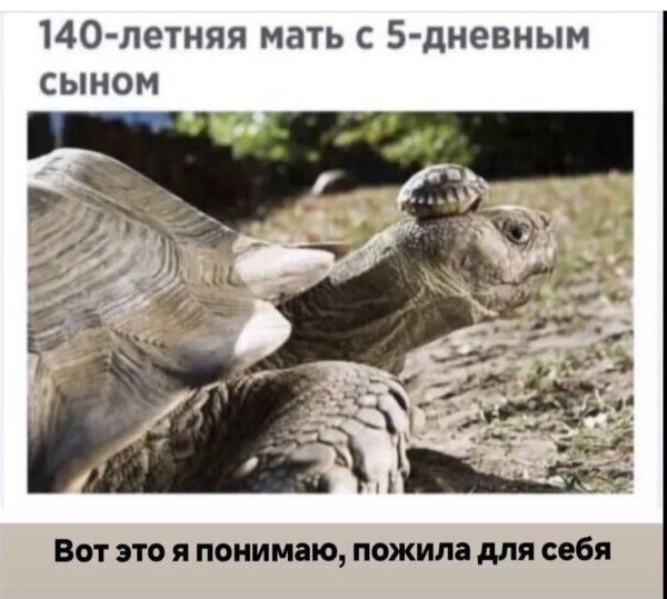 FB IMG 1778702784774