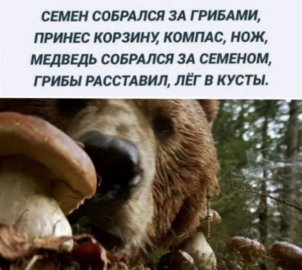 FB IMG 1777725024136