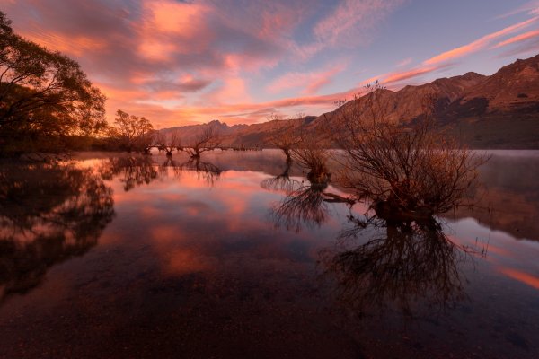 Kustarniki-derevia-otrazhenie-gory-vodoem