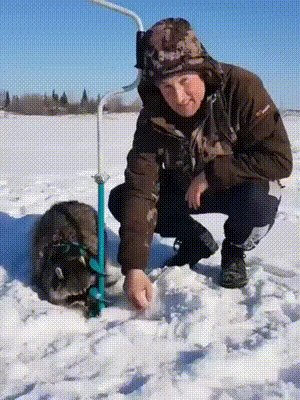 Енот)