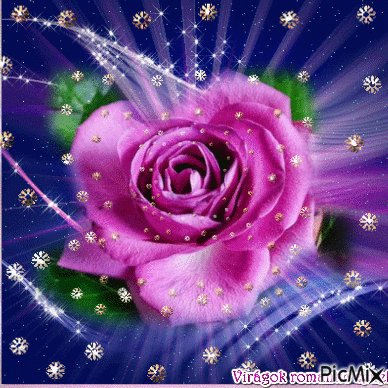 file_95622303