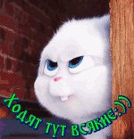 file_81749113