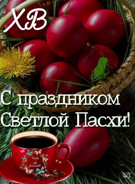 file_93019557