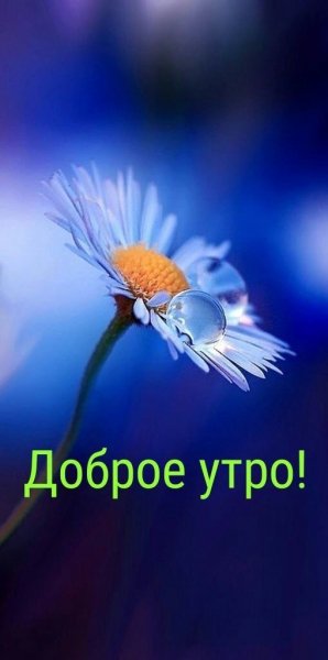 file_90717525