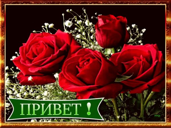 file_74822724