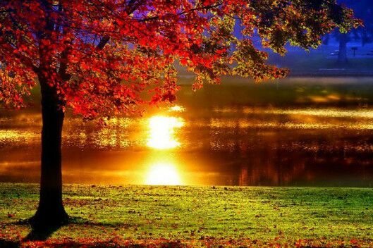 F20140227132352. 000