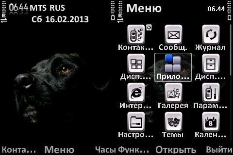 black labrador