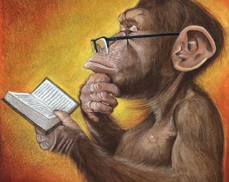 Думают ли животные (Рассказывает биолог)