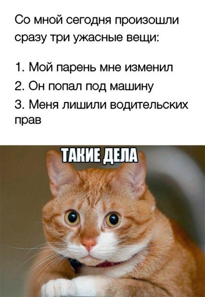 file_102527360