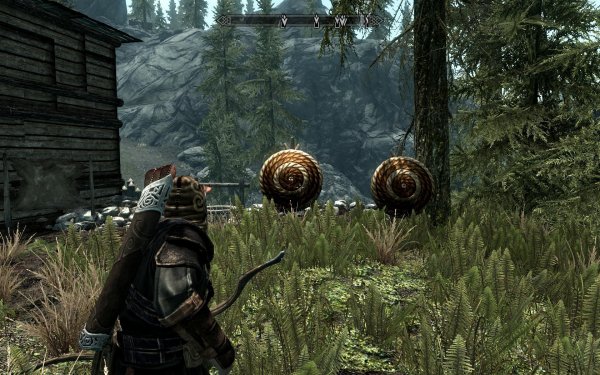 Скайрим История о Рейнджерах