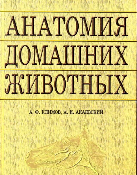 Клинов анотомия домашних животных
