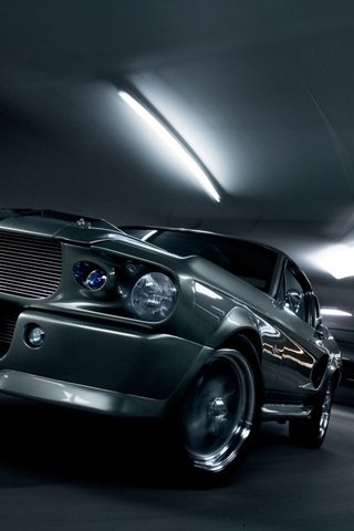 file_77767621
