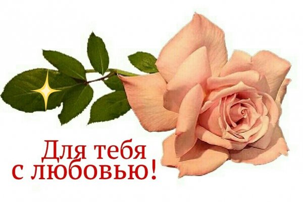 s5kOdM8cD9o