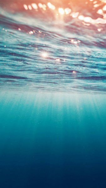 dd597796-212c-48ac-8e35-d2bbbc8e02fe