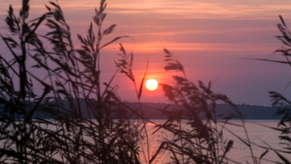 Красоты родной природы 5 69